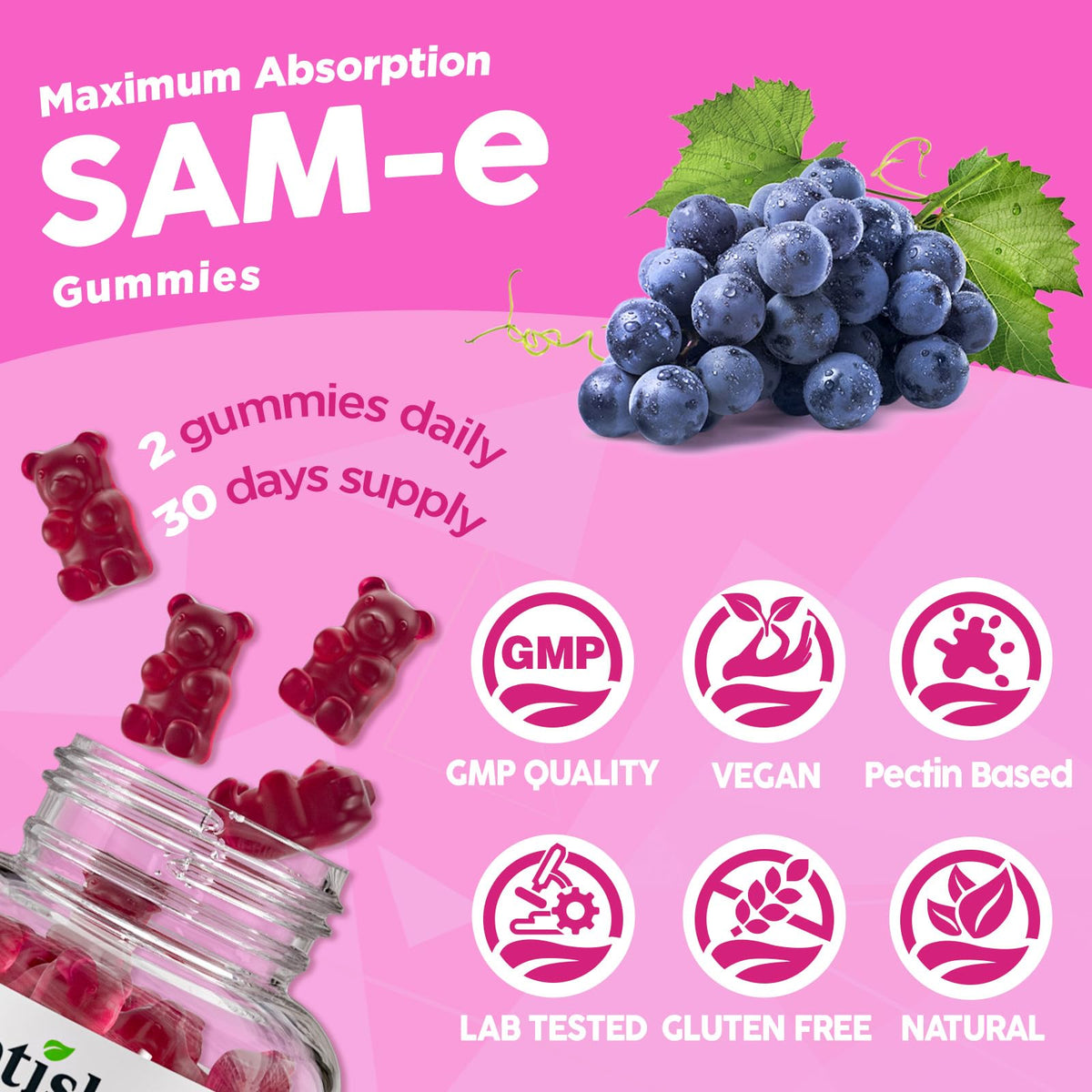 Ensemble de gummies SAM-e NATISLAND dans un cadre naturel