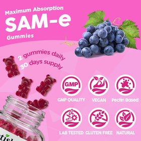 Ensemble de gummies SAM-e NATISLAND dans un cadre naturel