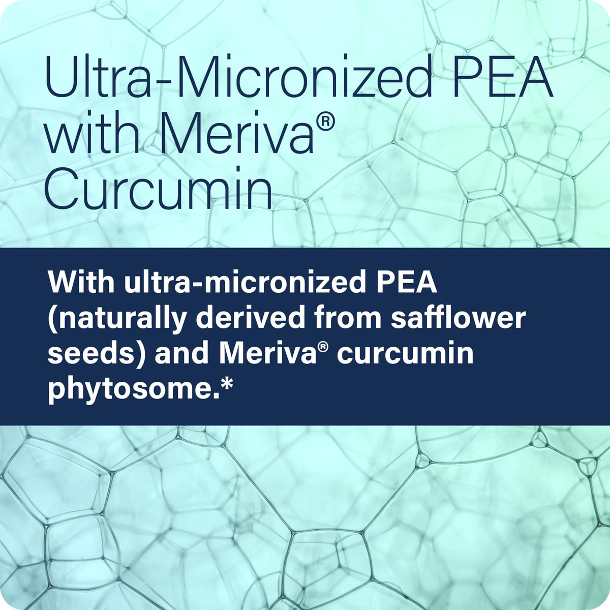 Enzyme Science Complément Alimentaire PEA Curcuma Meriva 120 Capsules avec étiquette