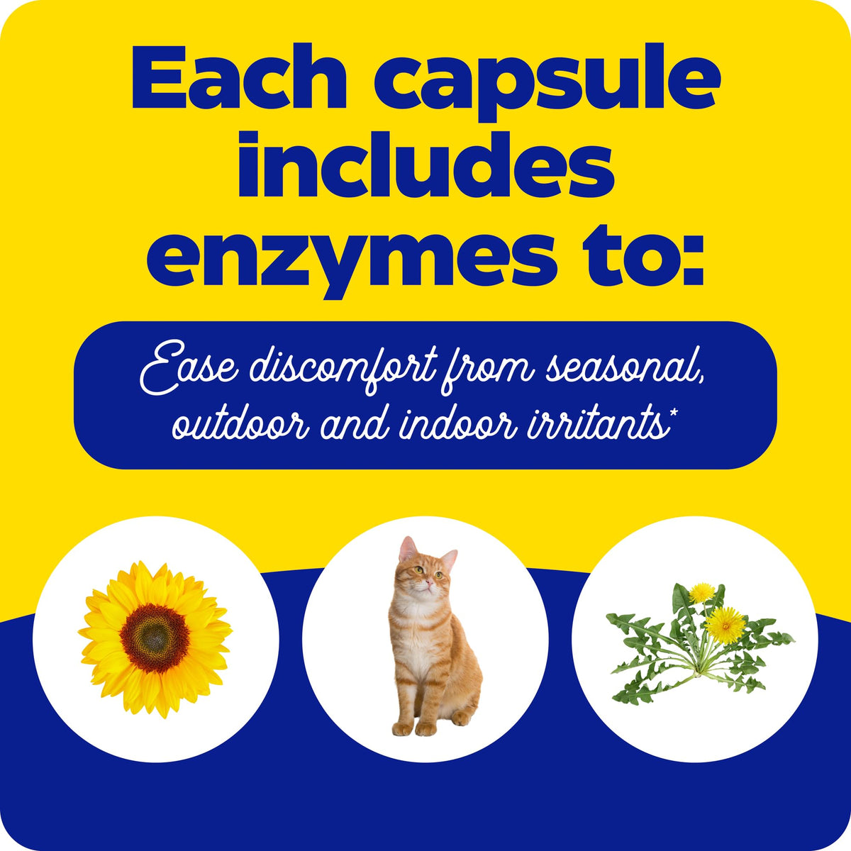 Enzymedica Allerase ingrédients sur l'étiquette