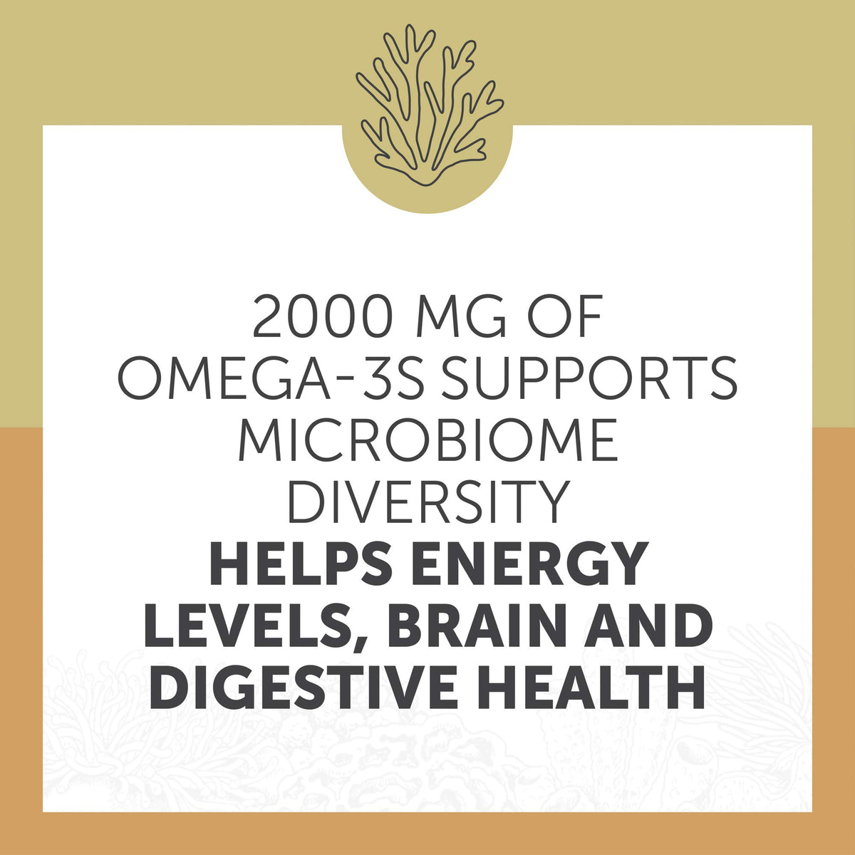 Enzymedica Omega 3 gélules molles avec un citron à côté