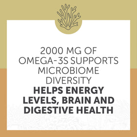 Enzymedica Omega 3 gélules molles avec un citron à côté