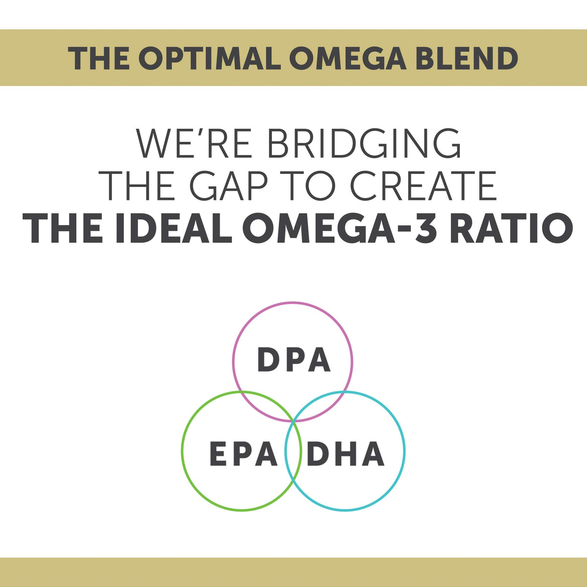 Enzymedica Omega 3 huile de poisson 60 gélules molles sur une table
