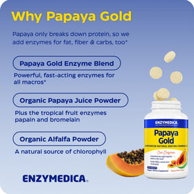 Enzymedica Papaya Gold, comprimés dans une main