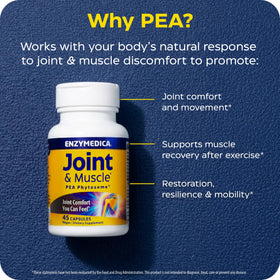 Enzymedica PEA Phytosome capsules avec verre d'eau