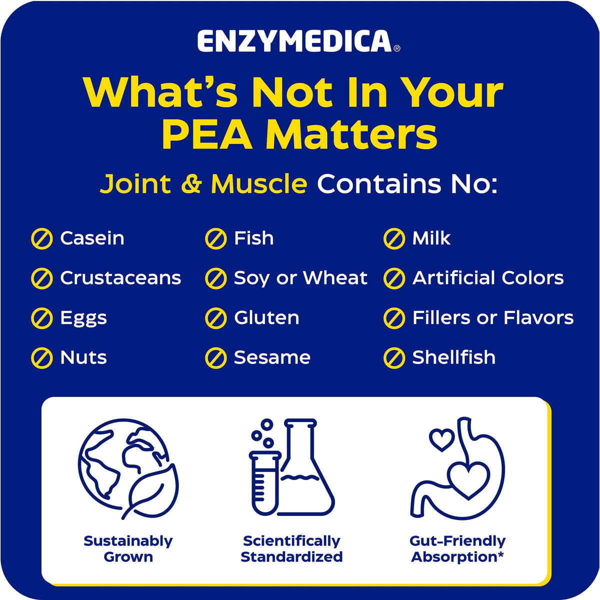 Enzymedica PEA Phytosome capsules en main