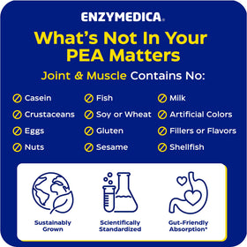 Enzymedica PEA Phytosome capsules en main