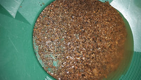 Équipe familiale de Colorado Gold Paydirt