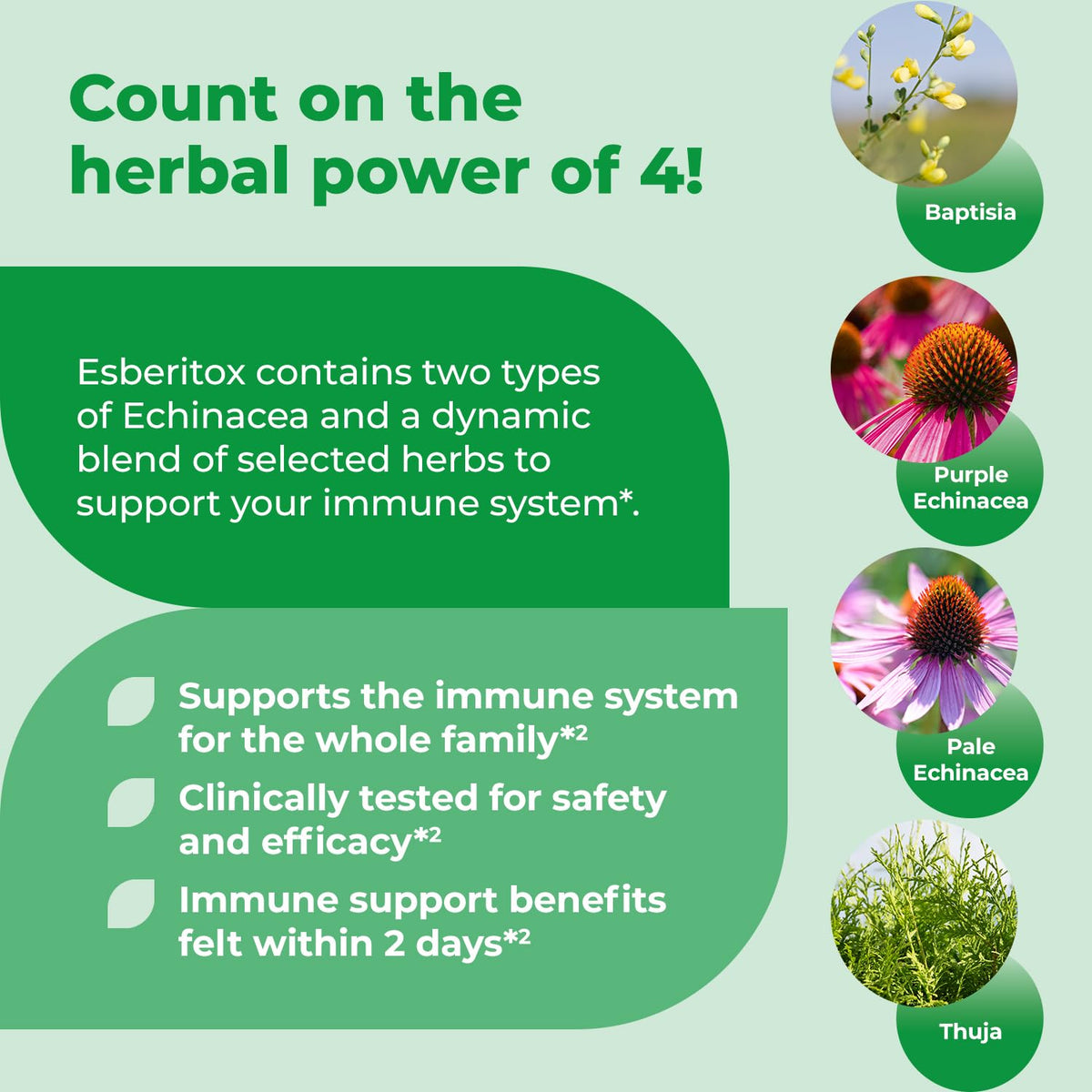 ESBERITOX Echinacea Supercharged comprimés en gros plan