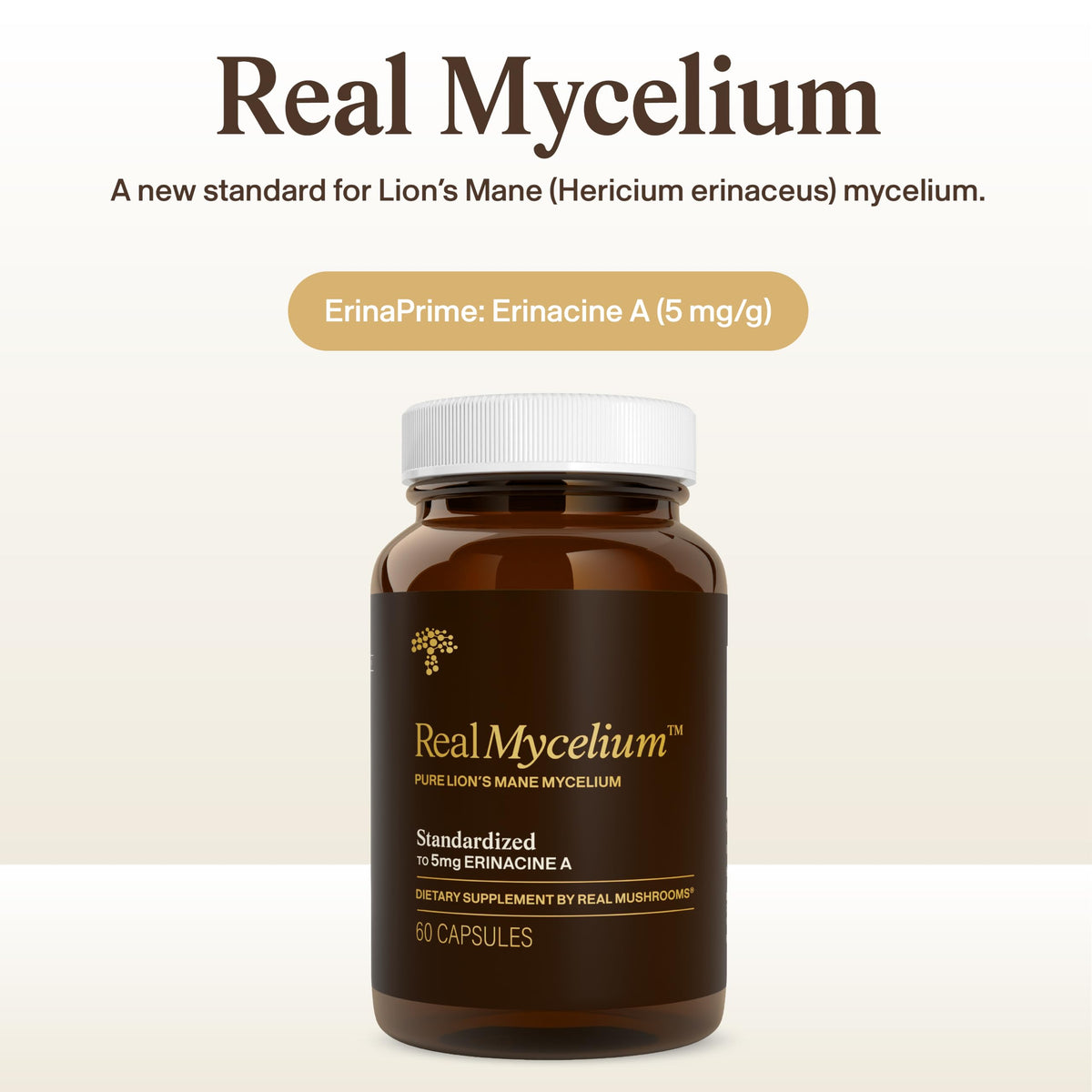 Étiquette arrière des capsules de Mycélium de Lion