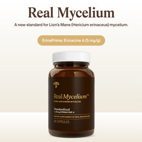 Étiquette arrière des capsules de Mycélium de Lion