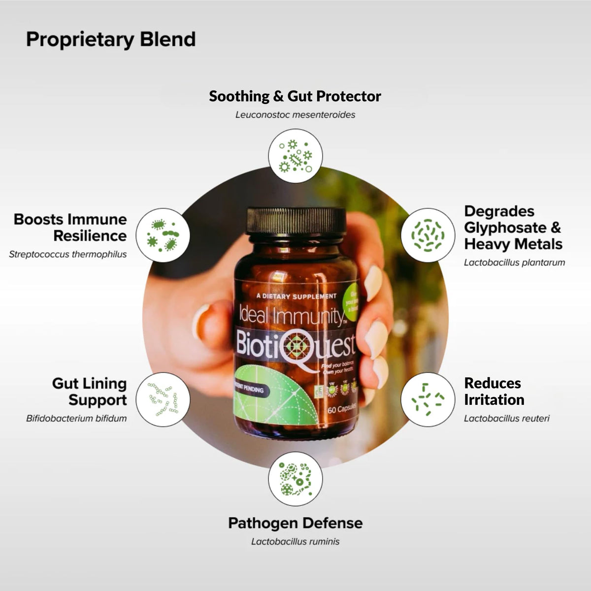 Étiquette de BiotiQuest Probiotiques Idéal daily wellnessé avec composition