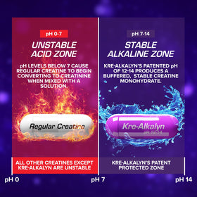 Etiquette de EFX Sports Kre-Alkalyn EFX montrant les ingrédients