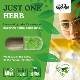 Étiquette de la bouteille de capsules de Gymnema Wild & Organic