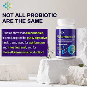 Étiquette de la bouteille de probiotique Wedkoup avec informations nutritionnelles