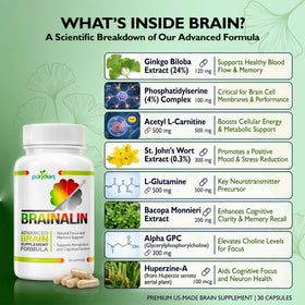 Étiquette de la bouteille de Puridian Compléments Cérébraux Ginkgo Biloba
