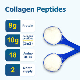 Étiquette de la poudre de collagène Zammex avec informations nutritionnelles