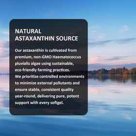 Étiquette de PhytoVital Astaxanthin 12mg avec ingrédients et dosage