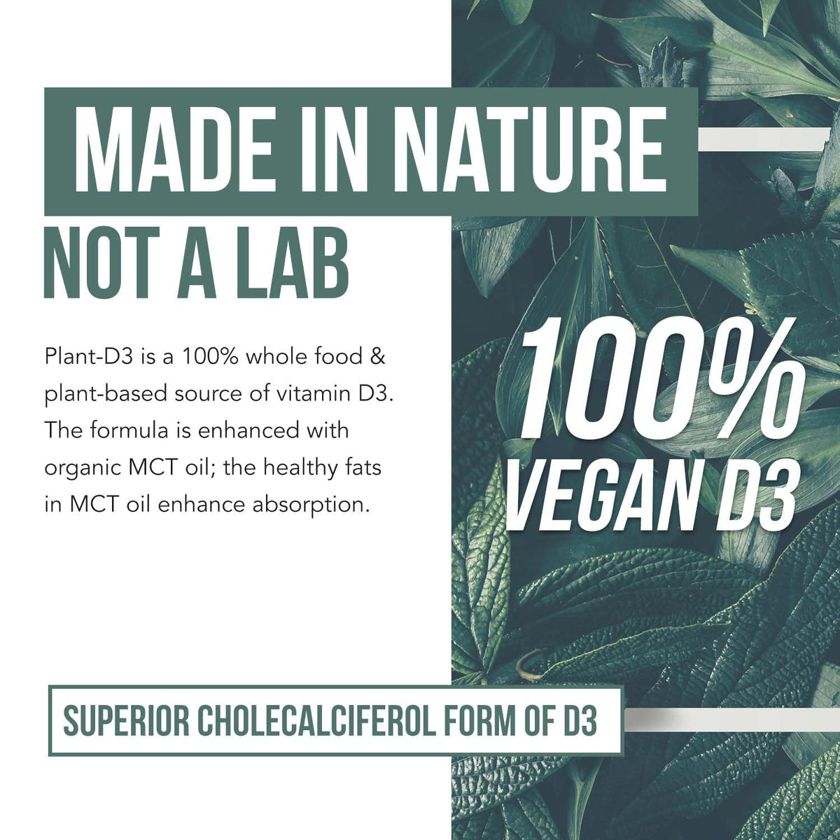 Étiquette de Vitamin D3 Vegan 5000 IU Triquetra Health avec logo USDA Organic