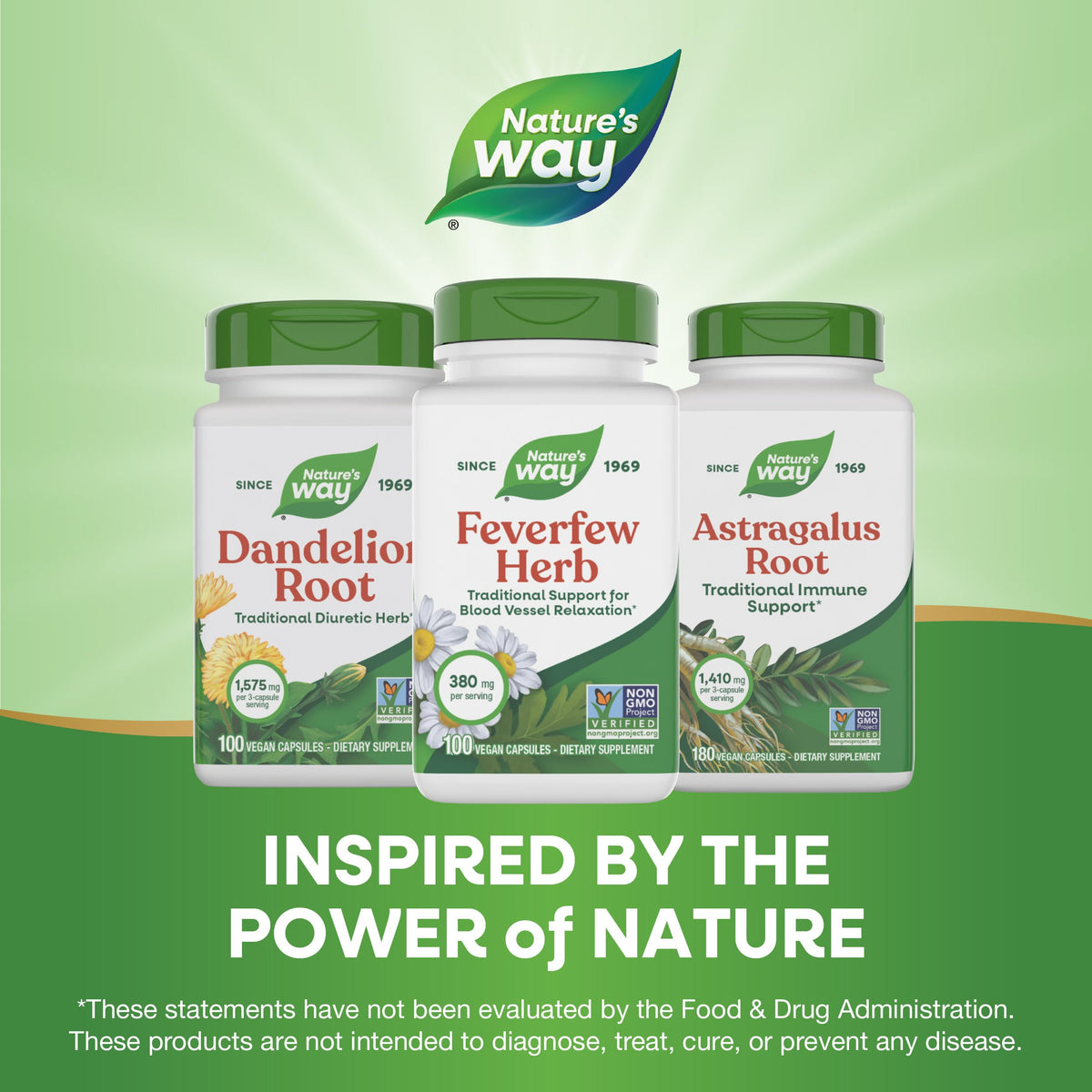 Étiquette des capsules d'herbe de grande camomille Nature's Way