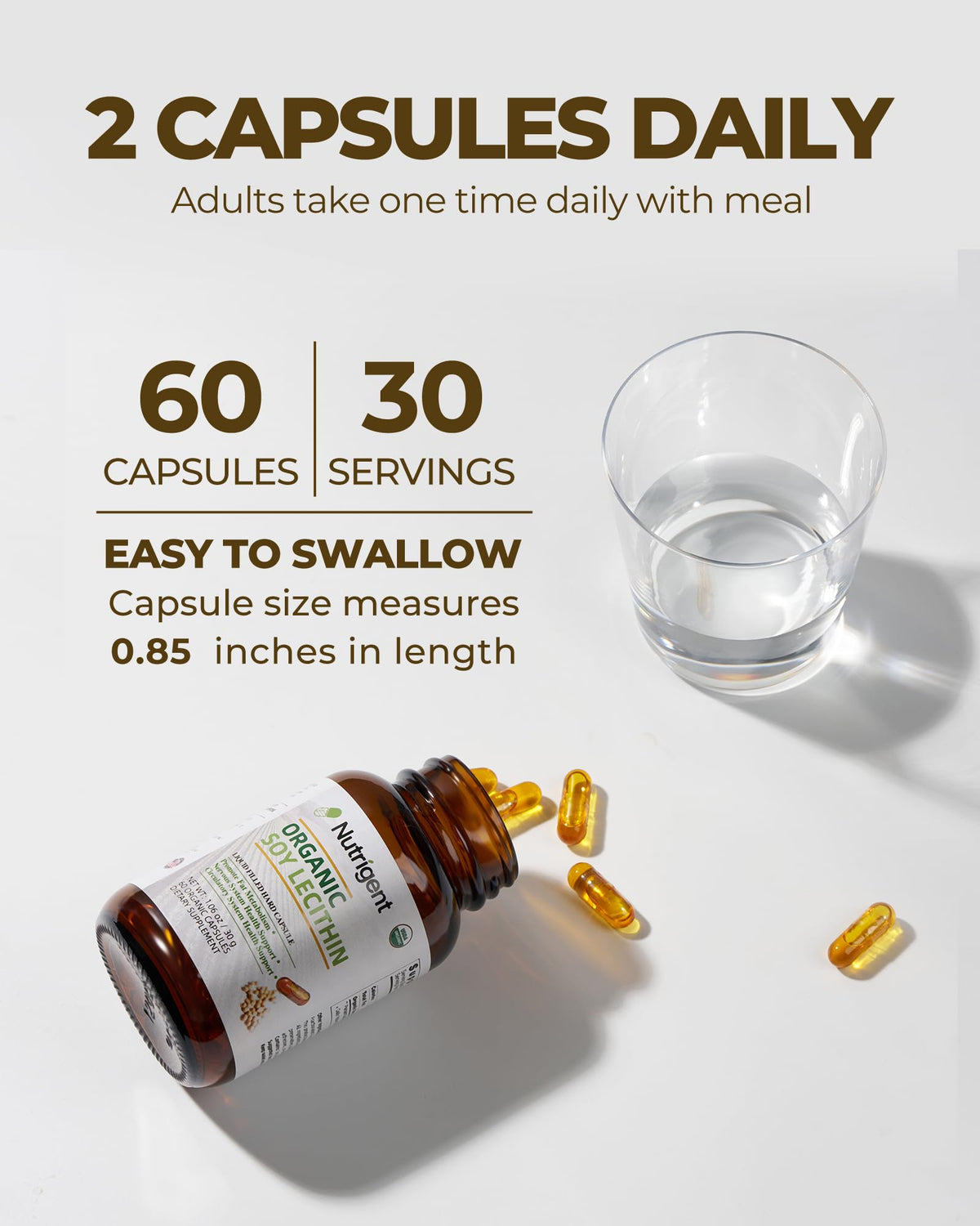 Étiquette des capsules de lécithine de soja biologique