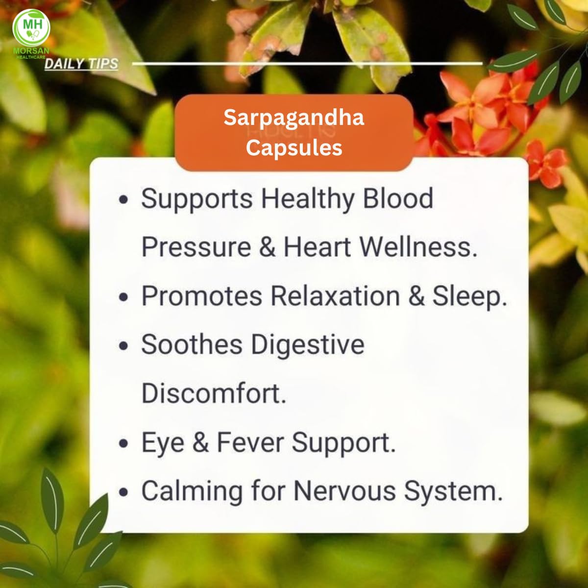 Étiquette des capsules Sarpgandha 500 mg