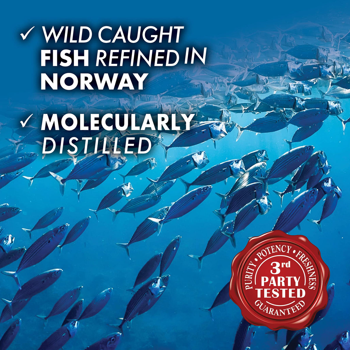 Étiquette des ingrédients des gélules Omega-3 BlueBonnet