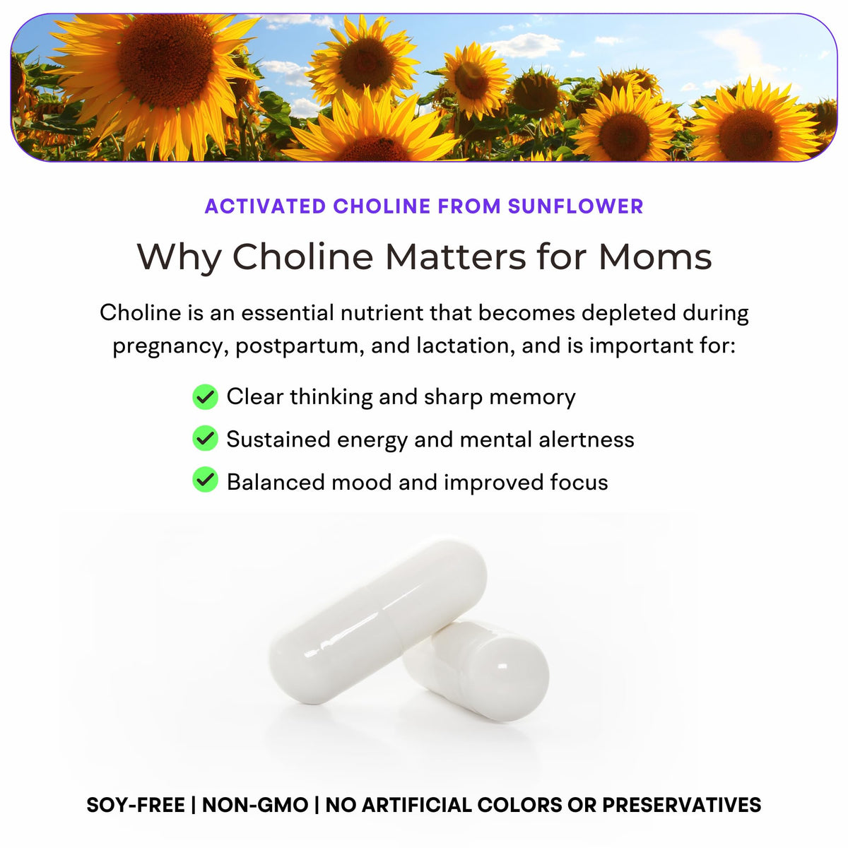 Étiquette des ingrédients VitaminIQ Mommy Brain