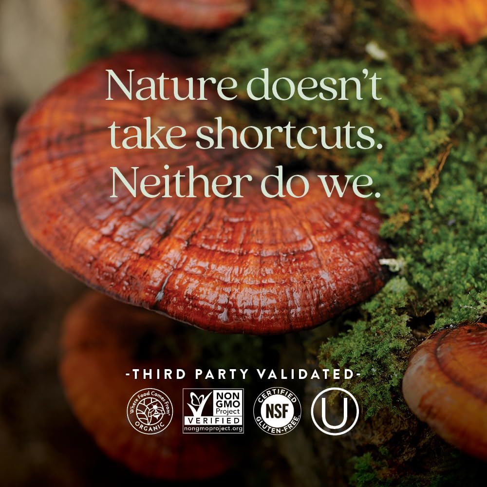 Étiquette du complément alimentaire champignon Reishi New Chapter