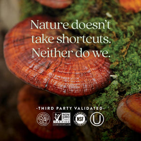 Étiquette du complément alimentaire champignon Reishi New Chapter