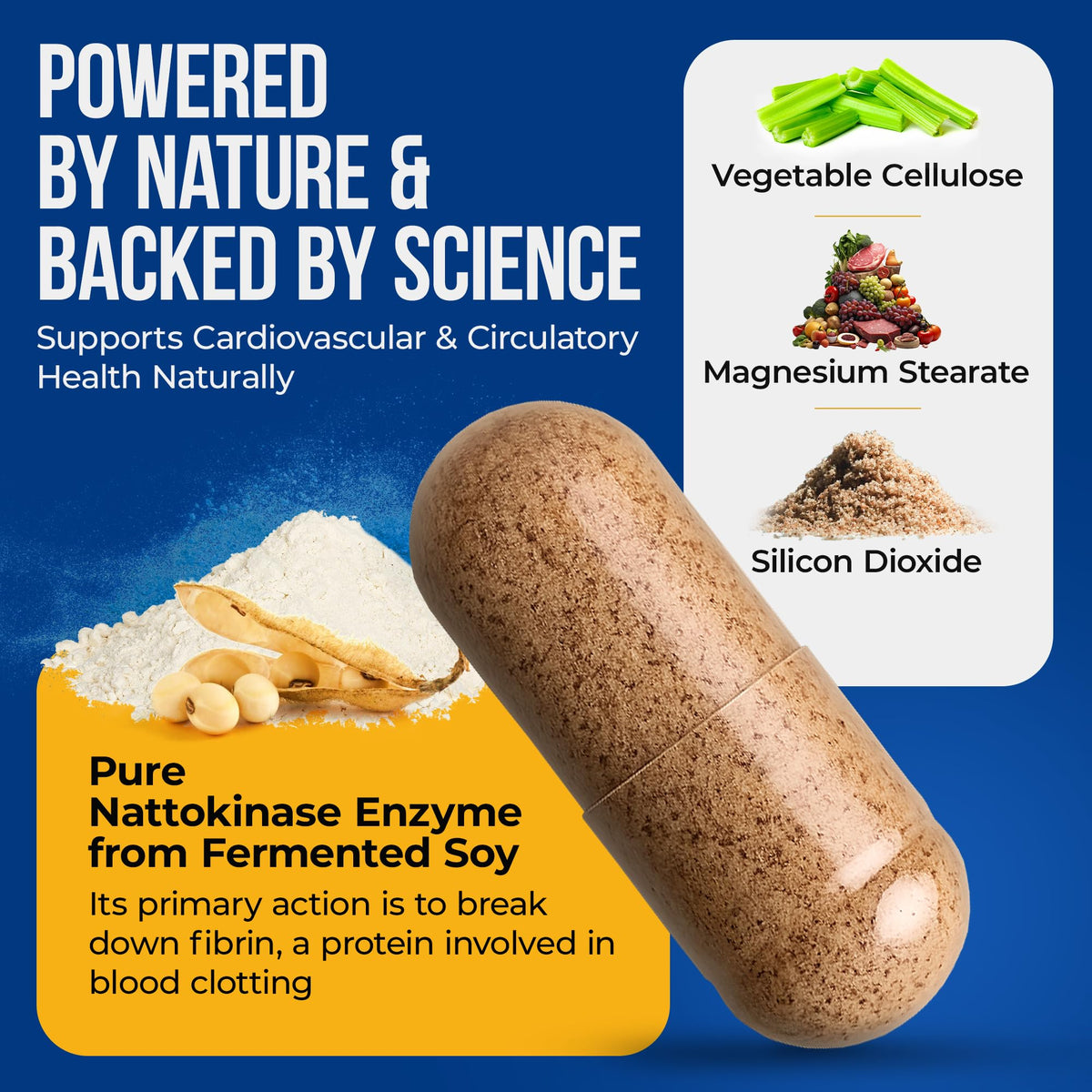 Étiquette du complément Nattokinase 250mg Nature's Nectar