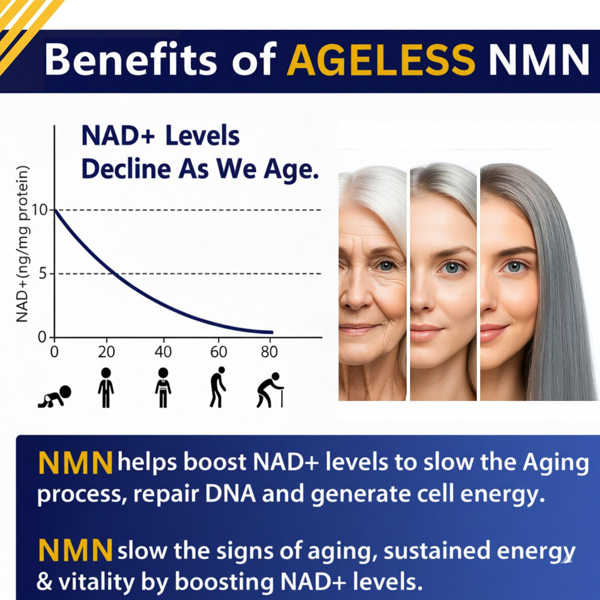 Étiquette du complément NMN 500mg Ageless Foundation