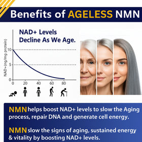Étiquette du complément NMN 500mg Ageless Foundation