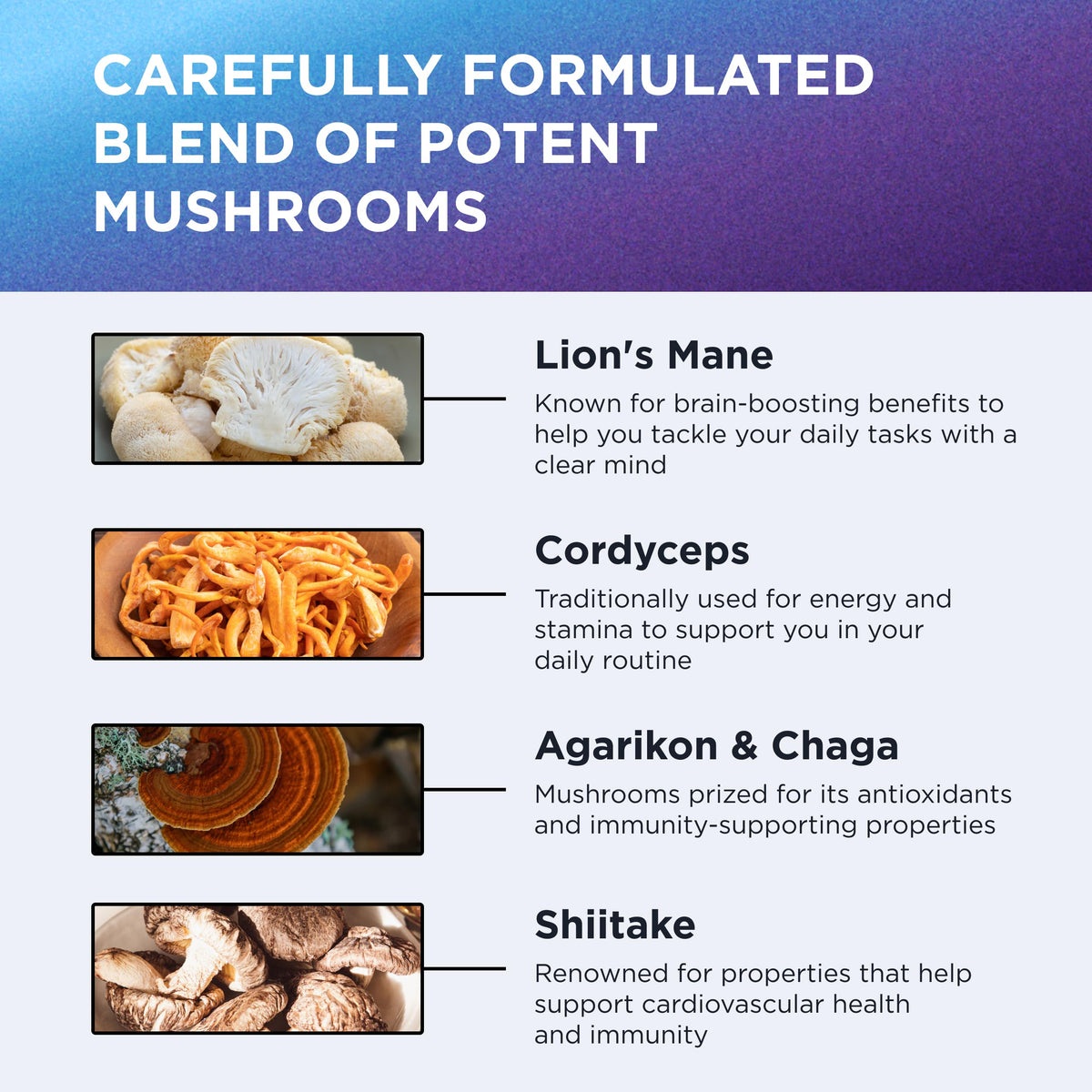 Étiquette du Complexe de Champignons DR. EMIL NUTRITION