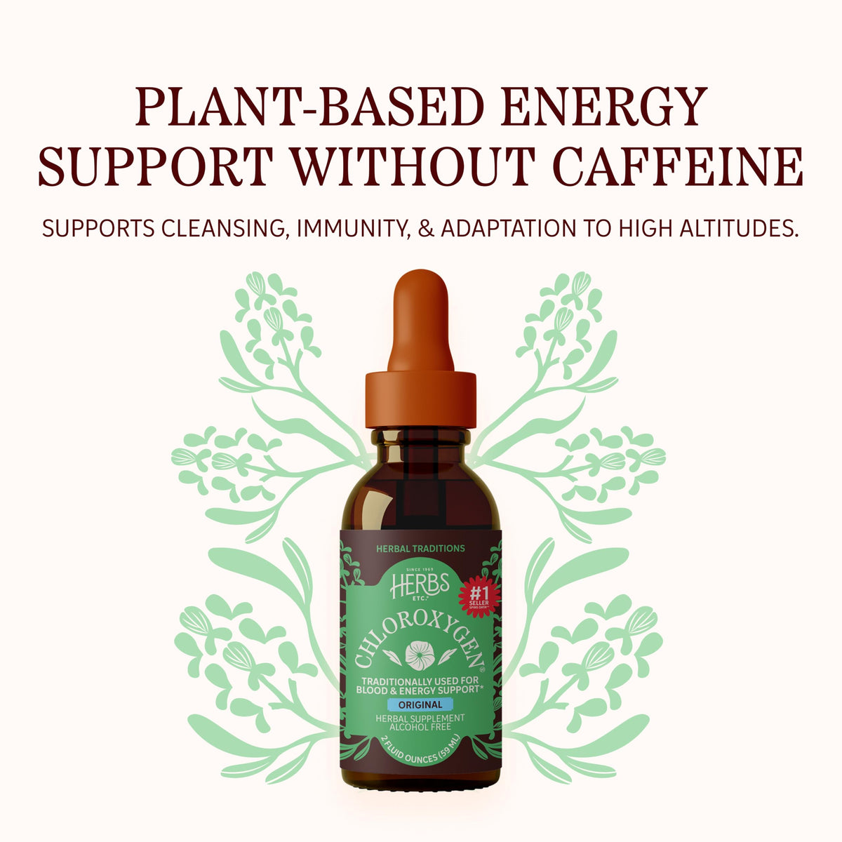 Étiquette du concentré de chlorophylle Herbs Etc. montrant les ingrédients