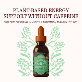 Étiquette du concentré de chlorophylle Herbs Etc. montrant les ingrédients