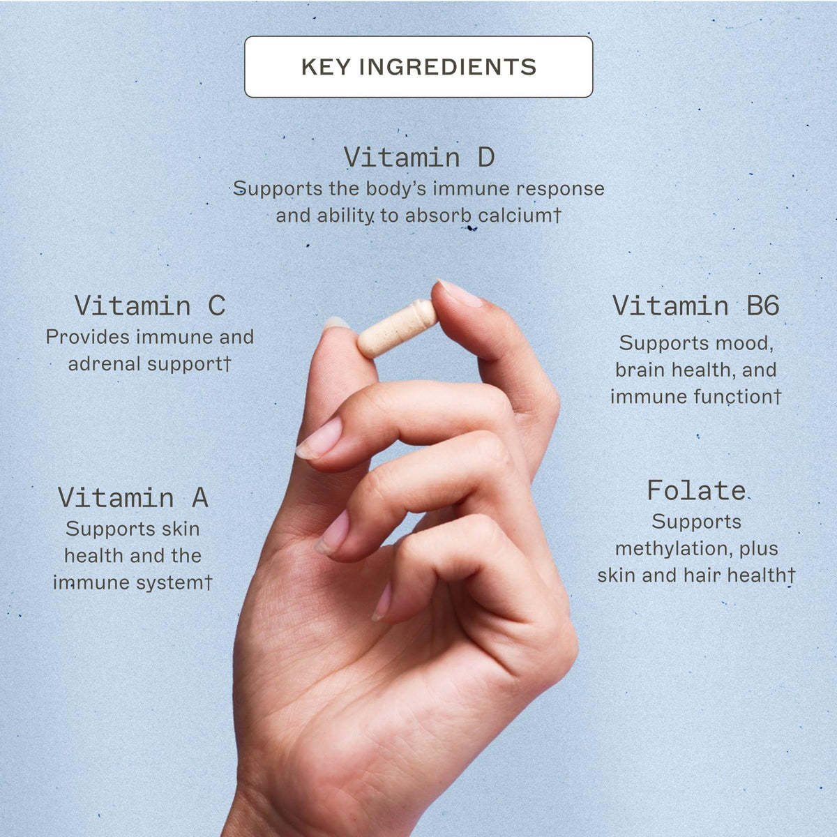 Étiquette du flacon Amy Myers MD Multivitamine The Myers Way
