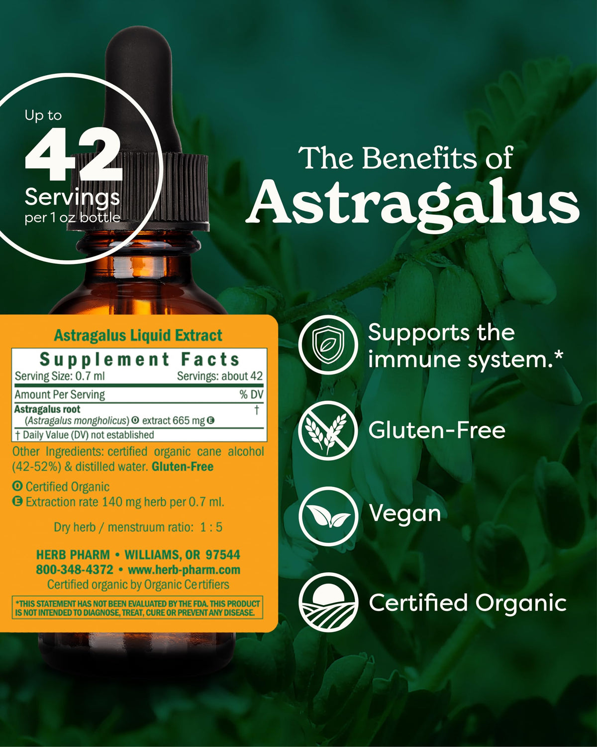 Étiquette du flacon d'extrait liquide d'Astragale bio Herb Pharm