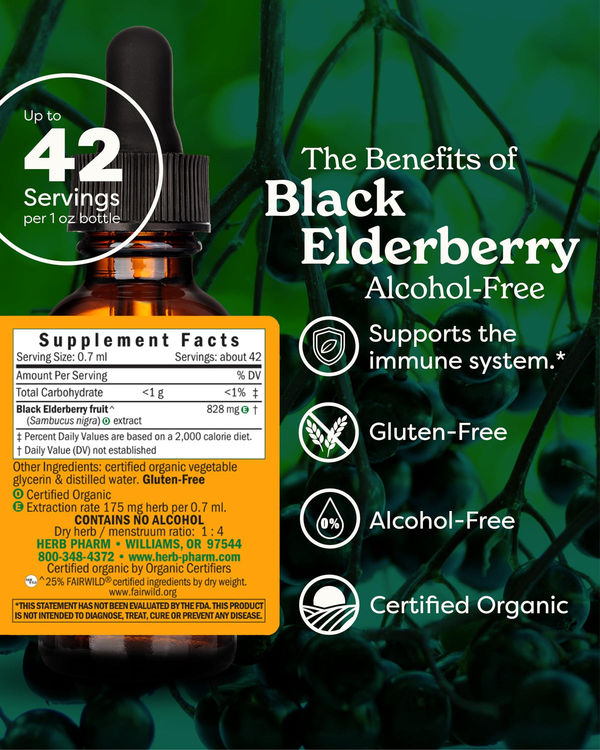 Étiquette du flacon d'extrait liquide de sureau noir Herb Pharm