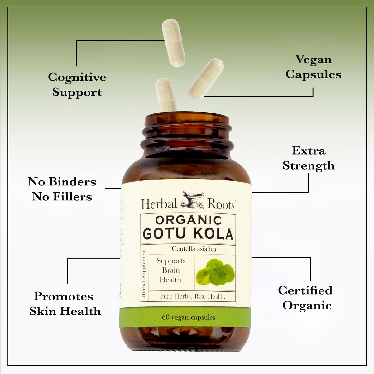 Étiquette du flacon de 60 capsules de Gotu Kola Herbal Roots
