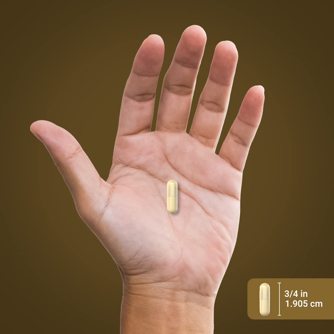 Étiquette du flacon de capsules de champignon Cordyceps Piping Rock