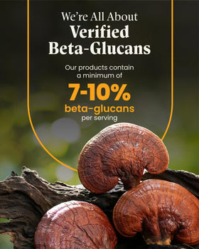 Étiquette du flacon de capsules de champignon Reishi Herb Pharm