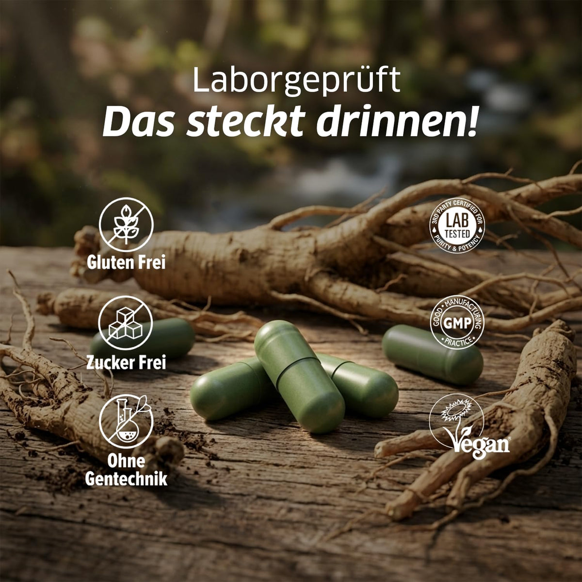Étiquette du flacon de capsules de ginseng ORZAX