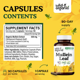 Étiquette du flacon de capsules de molène Wild & Organic