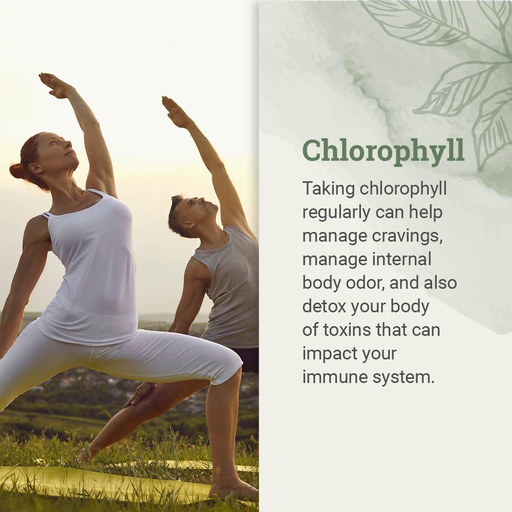 Étiquette du flacon de chlorophylle liquide Earth Harmony Naturals