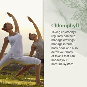 Étiquette du flacon de chlorophylle liquide Earth Harmony Naturals