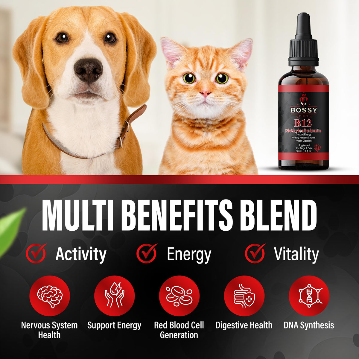 Étiquette du flacon de complément alimentaire liquide B12 pour animaux