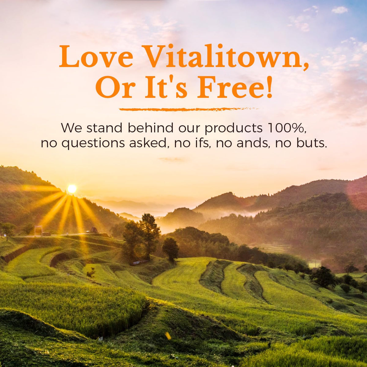 Étiquette du flacon de Complexe de Vitamine C Vitalitown