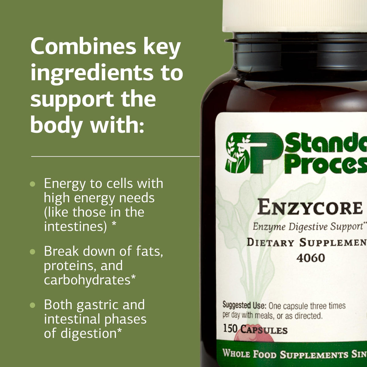 Étiquette du flacon de Enzycore de Standard Process Inc.