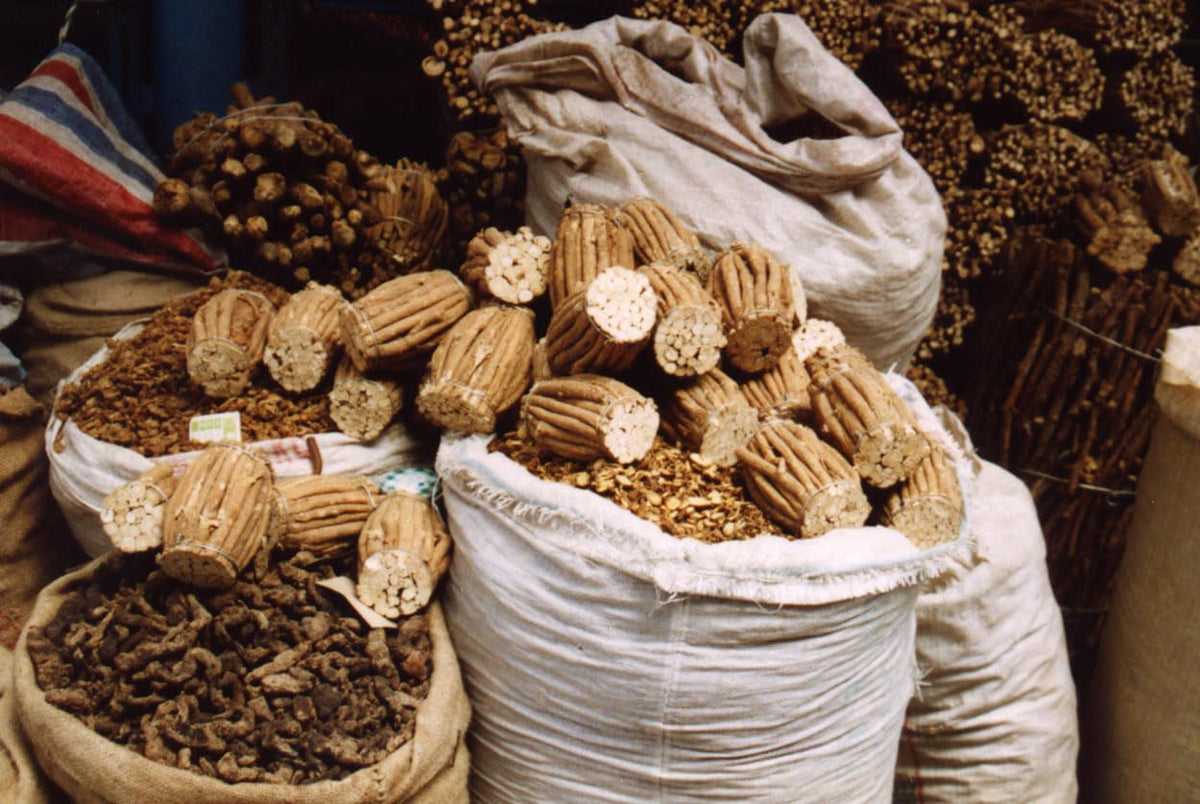Étiquette du flacon de Gouttes de Racine d'Astragale Dragon Herbs